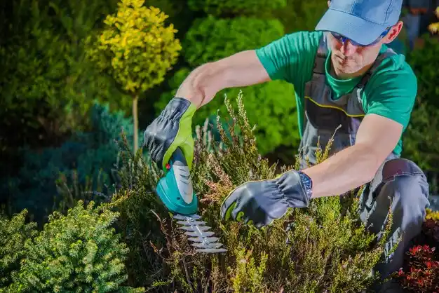 landscaping services Paulding